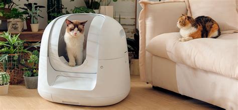 electric cat litter box reviews|affordable automatic cat litter box.